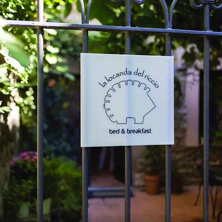 La Locanda Del Riccio Viterbo Buitenkant foto